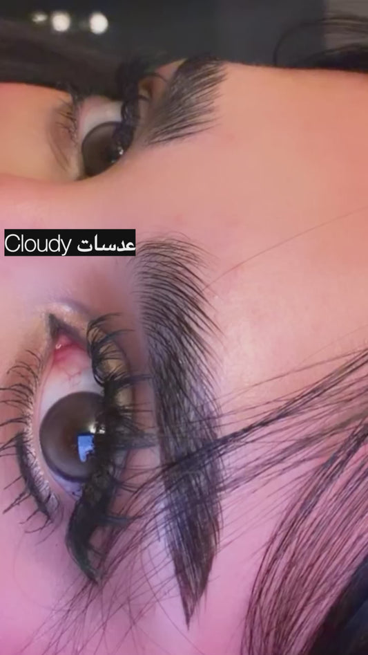 غائم